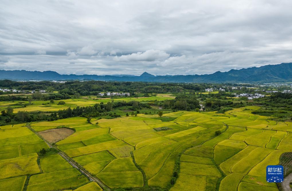 太陽城首页